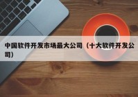 中国软件开发市场最大公司（十大软件开发公司）