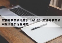 软件开发类公司属于什么行业（软件开发类公司属于什么行业分类）