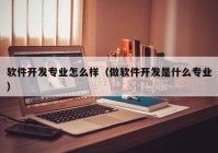 软件开发专业怎么样（做软件开发是什么专业）