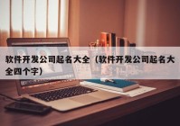 软件开发公司起名大全（软件开发公司起名大全四个字）