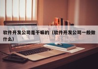 软件开发公司是干嘛的（软件开发公司一般做什么）