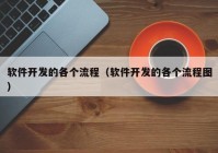 软件开发的各个流程（软件开发的各个流程图）