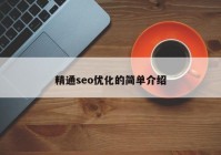 精通seo优化的简单介绍