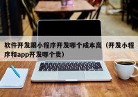 软件开发跟小程序开发哪个成本高（开发小程序和app开发哪个贵）