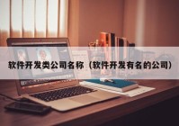 软件开发类公司名称（软件开发有名的公司）