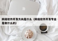 网络软件开发方向是什么（网络软件开发专业是做什么的）