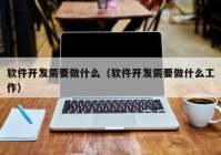 软件开发需要做什么（软件开发需要做什么工作）