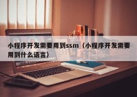 小程序开发需要用到ssm（小程序开发需要用到什么语言）