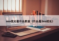 seo优化是什么职业（什么是Seo优化）