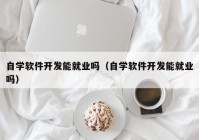 自学软件开发能就业吗（自学软件开发能就业吗）