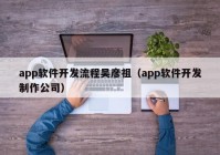 app软件开发流程吴彦祖（app软件开发制作公司）