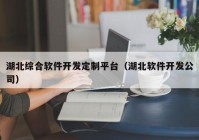 湖北综合软件开发定制平台（湖北软件开发公司）