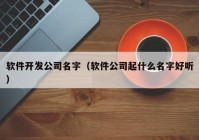 软件开发公司名字（软件公司起什么名字好听）