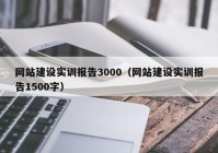 网站建设实训报告3000（网站建设实训报告1500字）