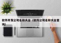 软件开发公司名称大全（软件公司名称大全查询）