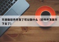 不想做软件开发了可以做什么（软件开发做不下去了）