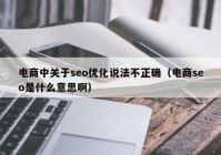 电商中关于seo优化说法不正确（电商seo是什么意思啊）