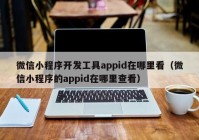 微信小程序开发工具appid在哪里看（微信小程序的appid在哪里查看）