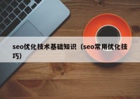 seo优化技术基础知识（seo常用优化技巧）