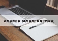 山东软件开发（山东软件开发专业的大学）